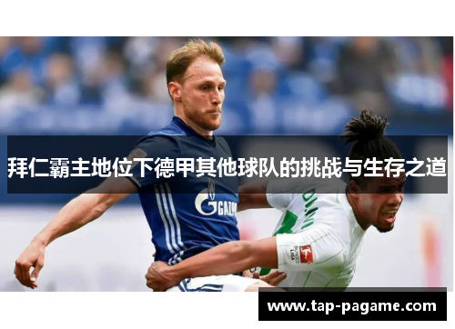 拜仁霸主地位下德甲其他球队的挑战与生存之道