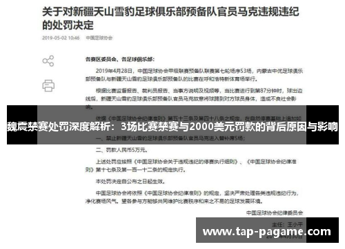 魏震禁赛处罚深度解析：3场比赛禁赛与2000美元罚款的背后原因与影响