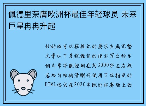 佩德里荣膺欧洲杯最佳年轻球员 未来巨星冉冉升起